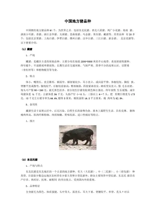 中国地方猪品种