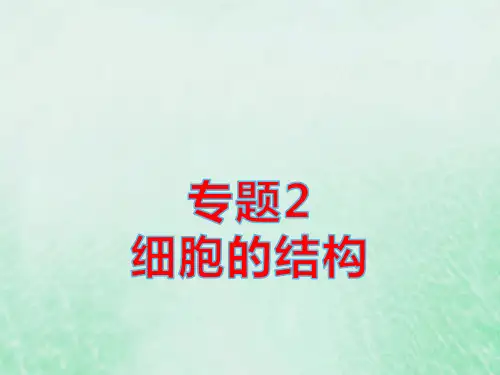高考生物基础知识综合复习第一单元细胞的分子组成与结构专题2细胞的结构pptx课件