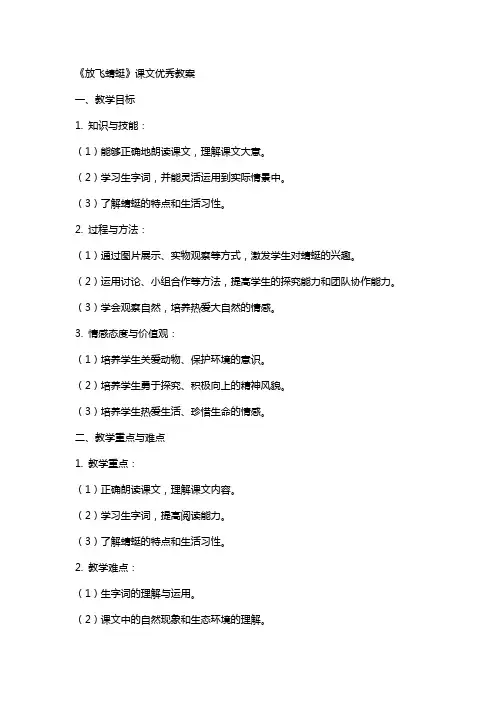 《放飞蜻蜓》课文教案
