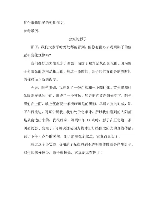 某个事物影子的变化作文