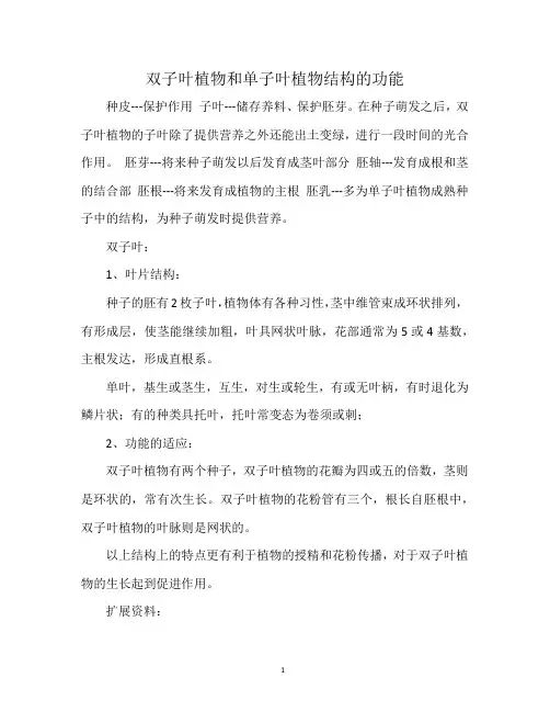 双子叶植物和单子叶植物结构的功能