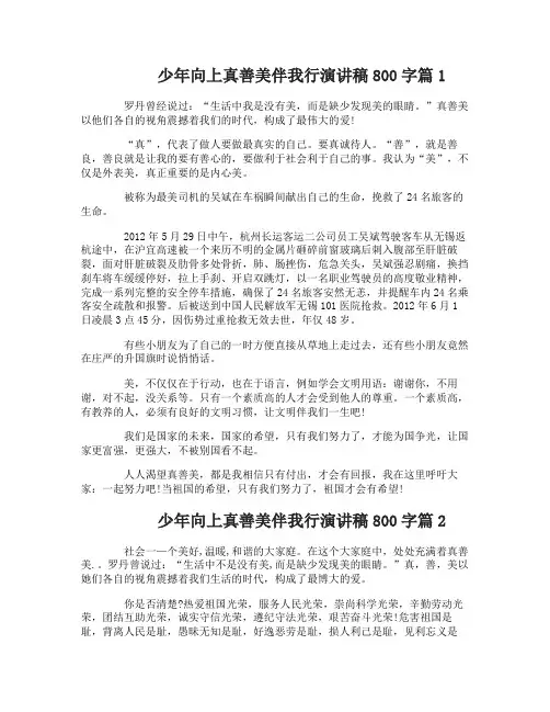 少年向上真善美伴我行演讲稿800字3篇