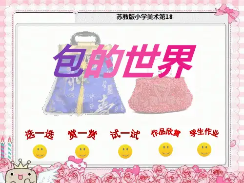 苏教版小学美术第18课包的世界
