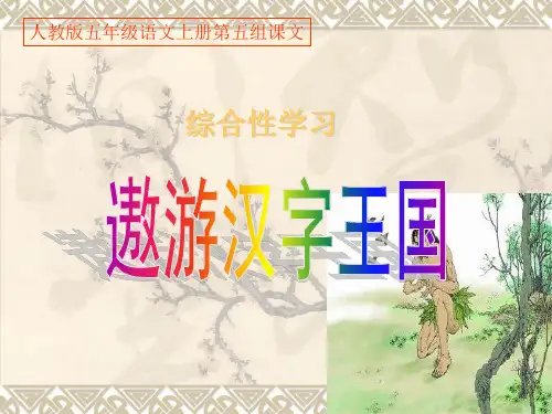 人教版五年级第五组《遨游汉字王国》PPT课件