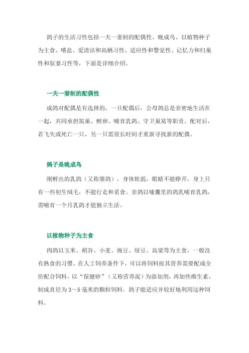 养鸽经验：鸽子的生活习性