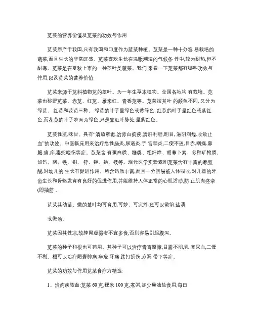 苋菜的营养价值及苋菜的功效与作用(精)
