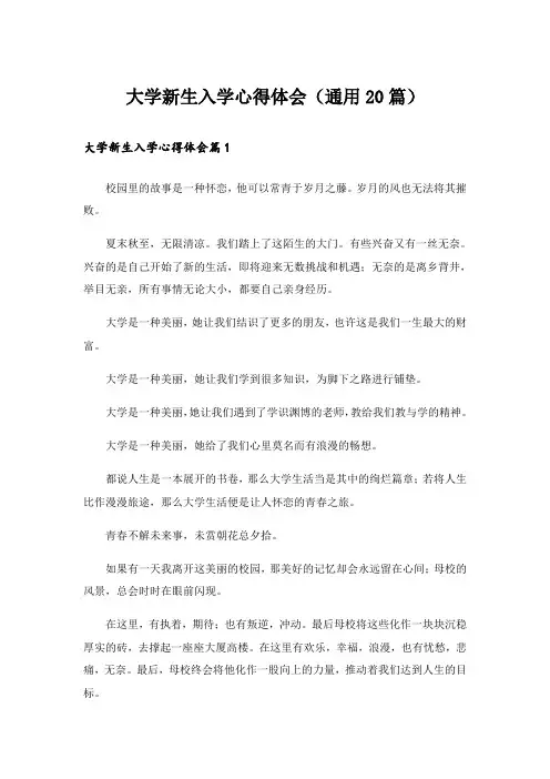 大学新生入学心得体会(通用20篇)