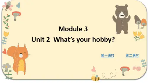 外研版六年级英语上册 Module 3 Unit 2  What's your hobby