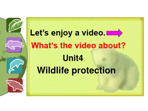 高中英语人教新课标必修二Unit4WildlifeProtection-Reading课件