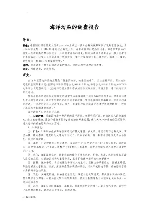 海洋污染的调查报告