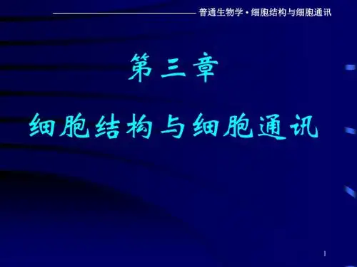 细胞结构与细胞通讯
