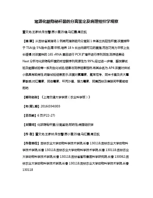 猪源化脓隐秘杆菌的分离鉴定及病理组织学观察