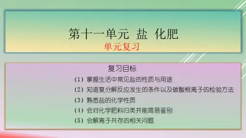 人教版九年级化学下册 第十一单元 盐 化肥 单元复习课件(共19张)