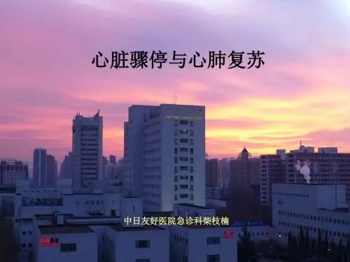 呼吸心跳骤停的处理和心肺复苏