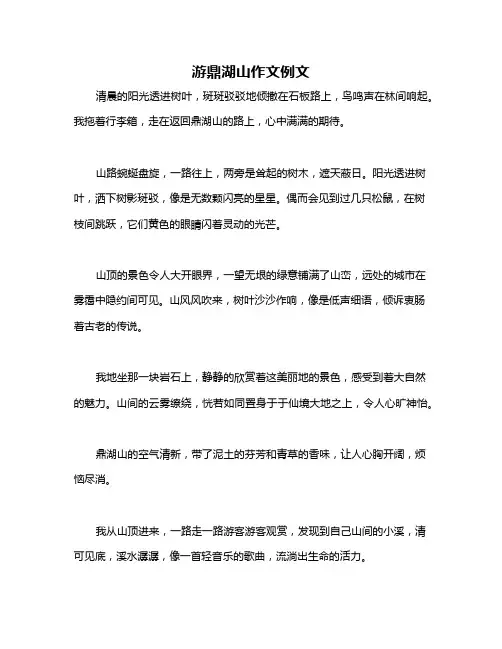 游鼎湖山作文例文