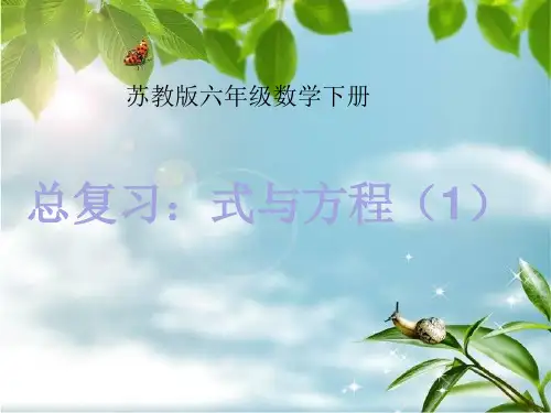 苏教版六年级数学下册  总复习：式与方程  课件