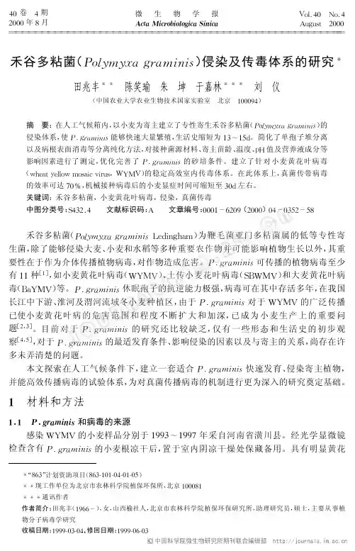 禾谷多粘菌(Polymyxa graminis)侵染及传毒体系的研究
