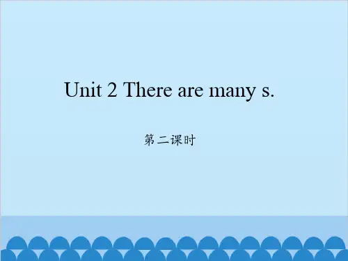 湘鲁版小学英语Unit2Therearemanyflowers.第二课时课件