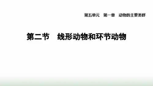 人教版八年级生物上册第五单元第一章1.2线形动物和环节动物课件