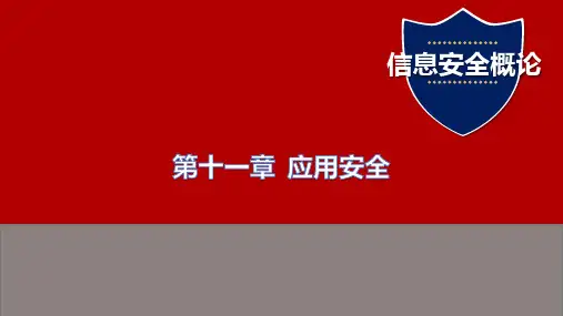 信息安全概论第11章  应用安全