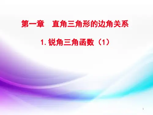 新北师大版九年级数学下册第一章11锐角三角函数(1)PPT课件