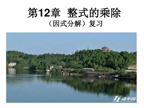 因式分解(复习)精选教学PPT课件