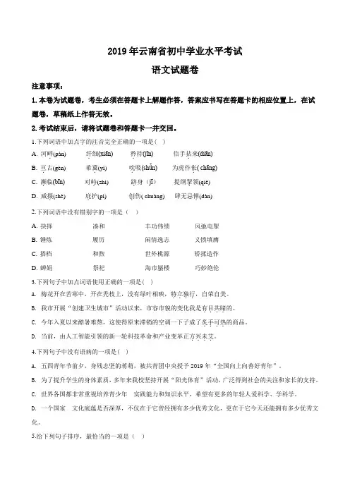 【真题】2019年云南省中考语文试题(原卷版)