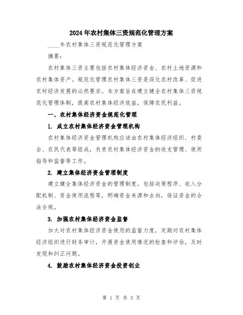 2024年农村集体三资规范化管理方案