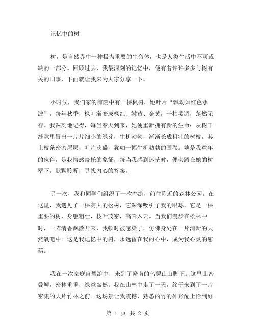 记忆中的树作文范文