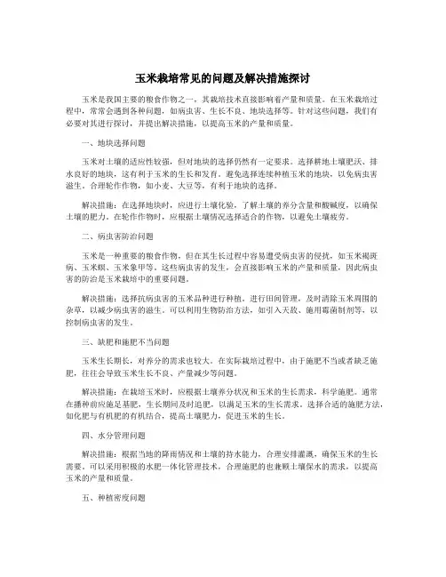 玉米栽培常见的问题及解决措施探讨