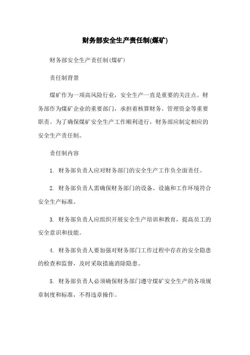 财务部安全生产责任制(煤矿)