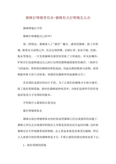 猫咪打喷嚏带有水-猫咪有点打喷嚏怎么办