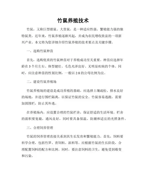 竹鼠养殖技术