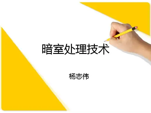 暗室处理技术PPT演示文稿