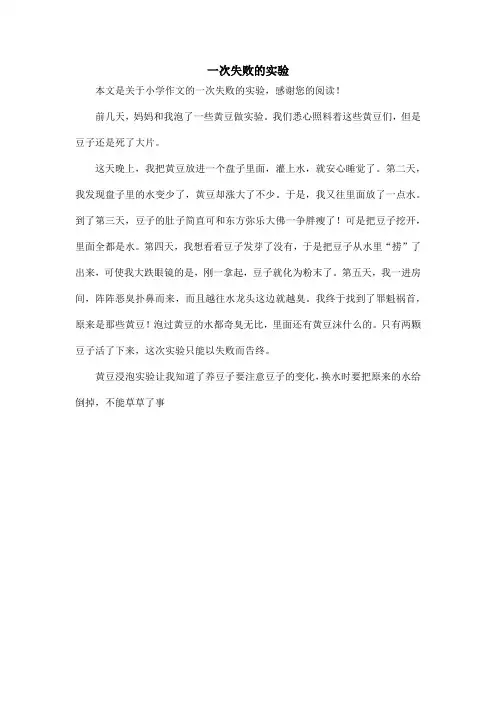 一次失败的实验_小学作文_4