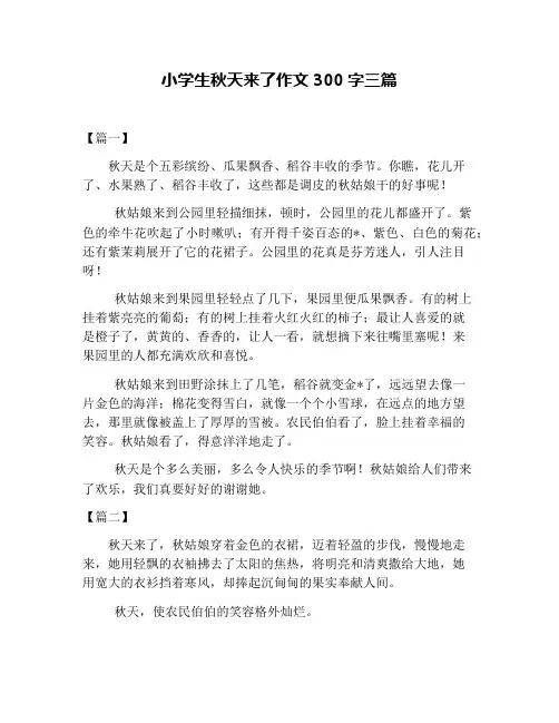 小学生秋天来了作文300字三篇