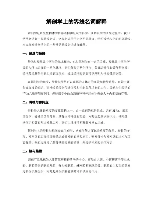 解剖学上的界线名词解释