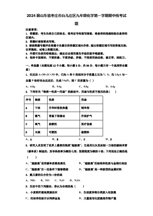 2024届山东省枣庄市台儿庄区九年级化学第一学期期中统考试题含答案解析