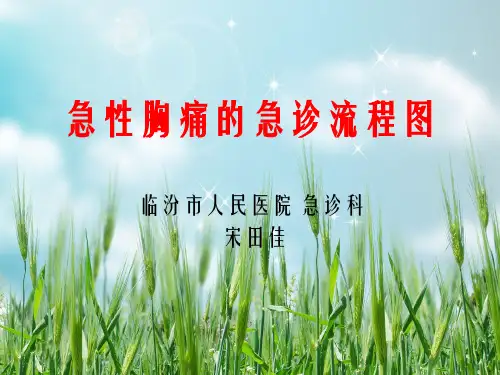 急性胸痛急诊流程图幻灯片PPT