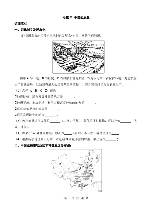 【中考地理】专题练习专题21 中国的农业