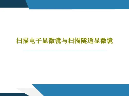 扫描电子显微镜与扫描隧道显微镜PPT文档54页