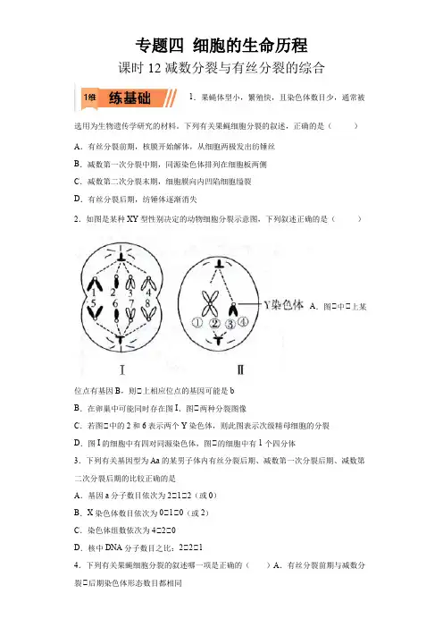 2023年高考等级考生物一轮复习多维练(全国通用)12 减数分裂与有丝分裂的综合(含详解)