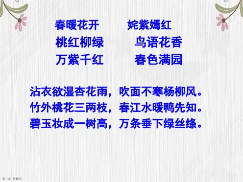 五年级下册语文课件春光染绿我们双脚苏教版 共张PPT
