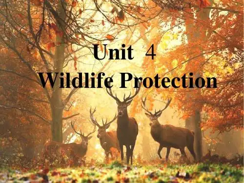 人教新课标英语必修二 Unit 4 Wildlife protection reading课件 (共21张PPT)