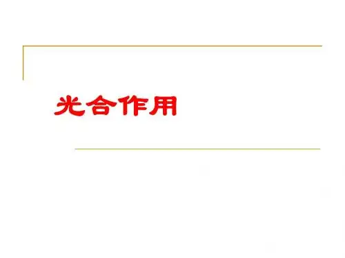 光合作用探索历程