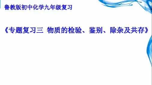 物质的检验、鉴别、除杂及共存复习课课件