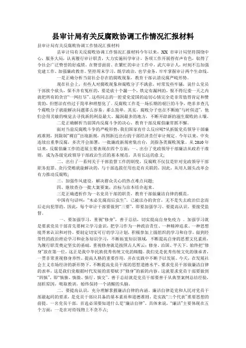 县审计局有关反腐败协调工作情况汇报材料