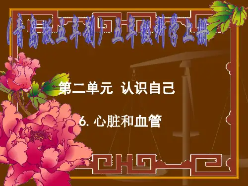 教学课件：10.13心脏和血管