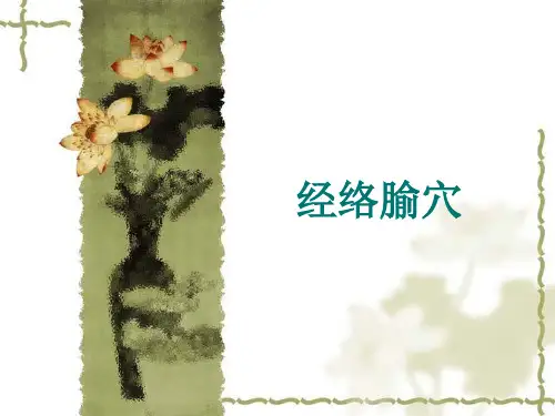 经络腧穴PPT课件