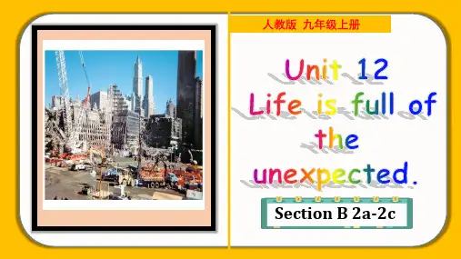 Unit 12 Section B(2a-2d)九年级全册英语美课件(人教版)